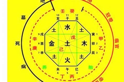 八字天醫|命理中「天醫」星代表的具體易像與運用方法